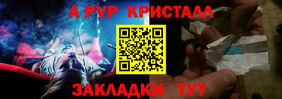ешки Кингисепп