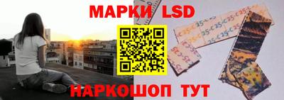 ешки Кингисепп
