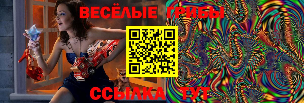 Галлюциногенные грибы прущие грибы Котовск